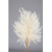 MINI FERN  16" x 10"  Bleached- 